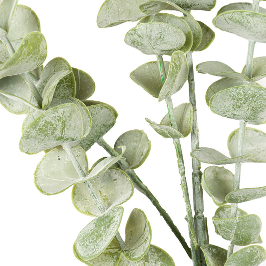 Close-up of green artificial eucalyptus leaves on a white background