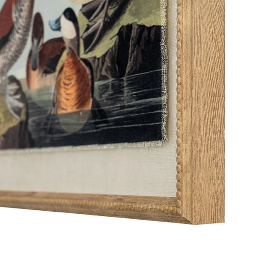 Framed artwork of ducks in a natural setting