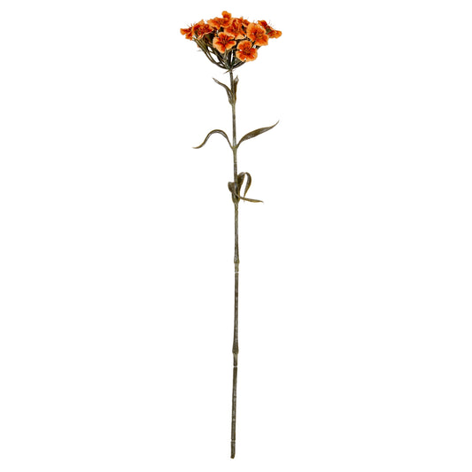 Single stem of orange flowers on a white background