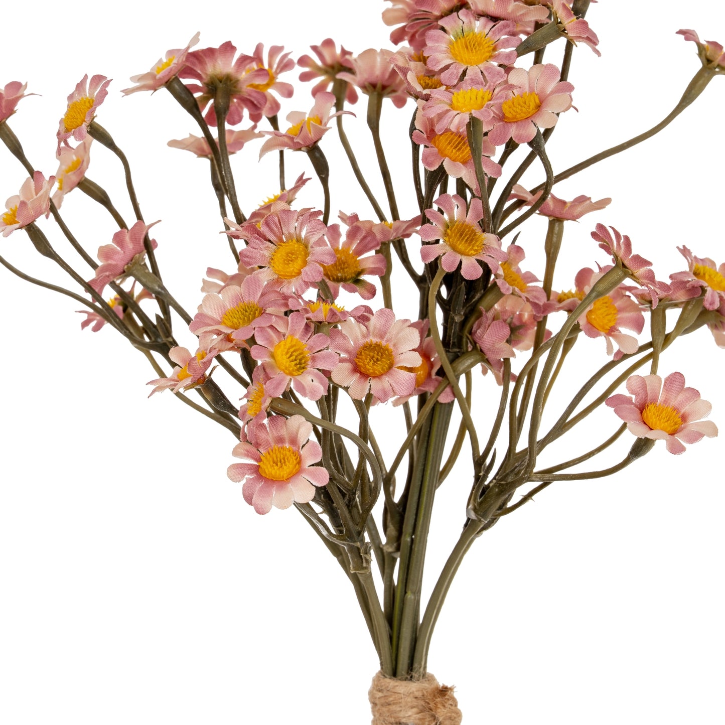 Bouquet of pink flowers with yellow centers on a white background