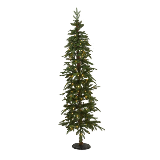 Pine Christmas tree with lights on a white background