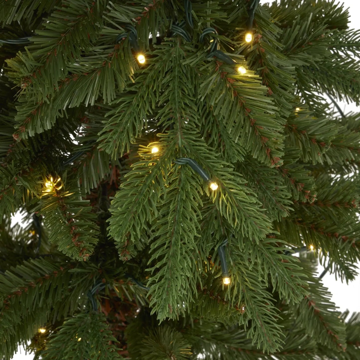 Close-up of a Christmas tree with lights on green leaves