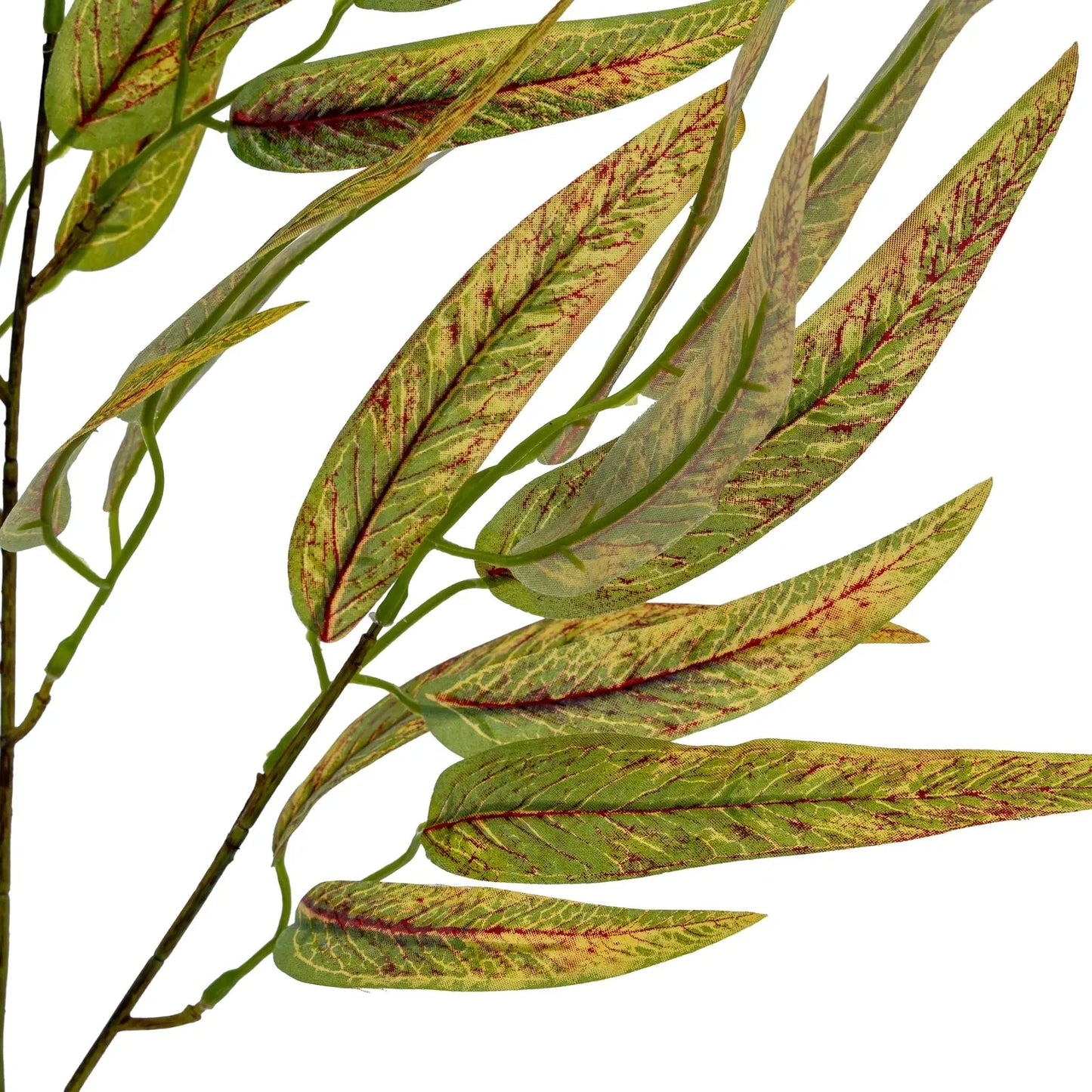 Artificial green leaf branch with red veins on a white background