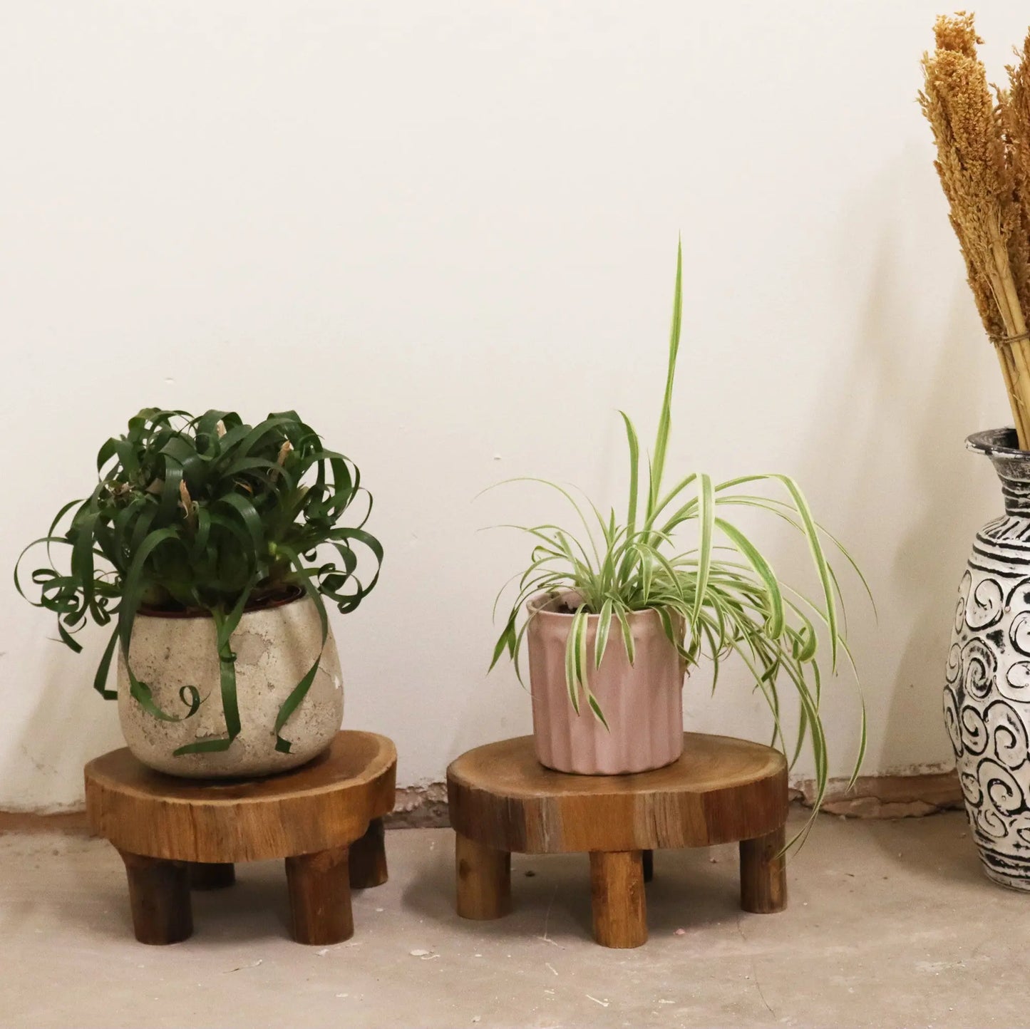 Low Teak Pad Display - 24x10cm TDS BlissVeranda