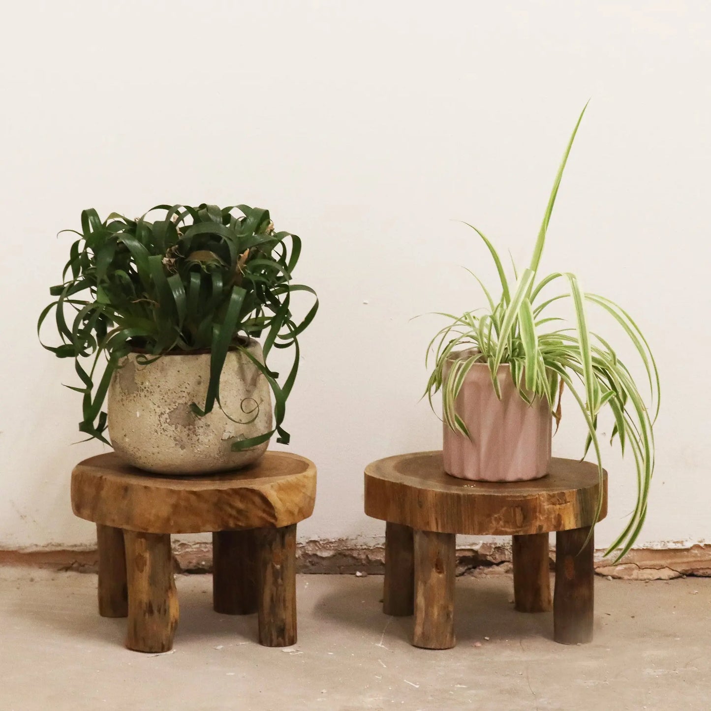 Med Teak Pad Display - 27x15cm TDS BlissVeranda