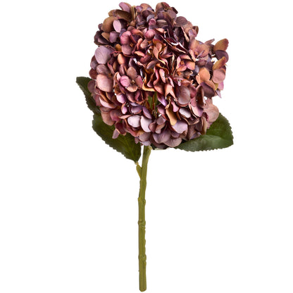 Autumn Coffee Hydrangea  Artificial Flowers & Greenery > Single Stem Flowers > Autumn Stems BlissVeranda