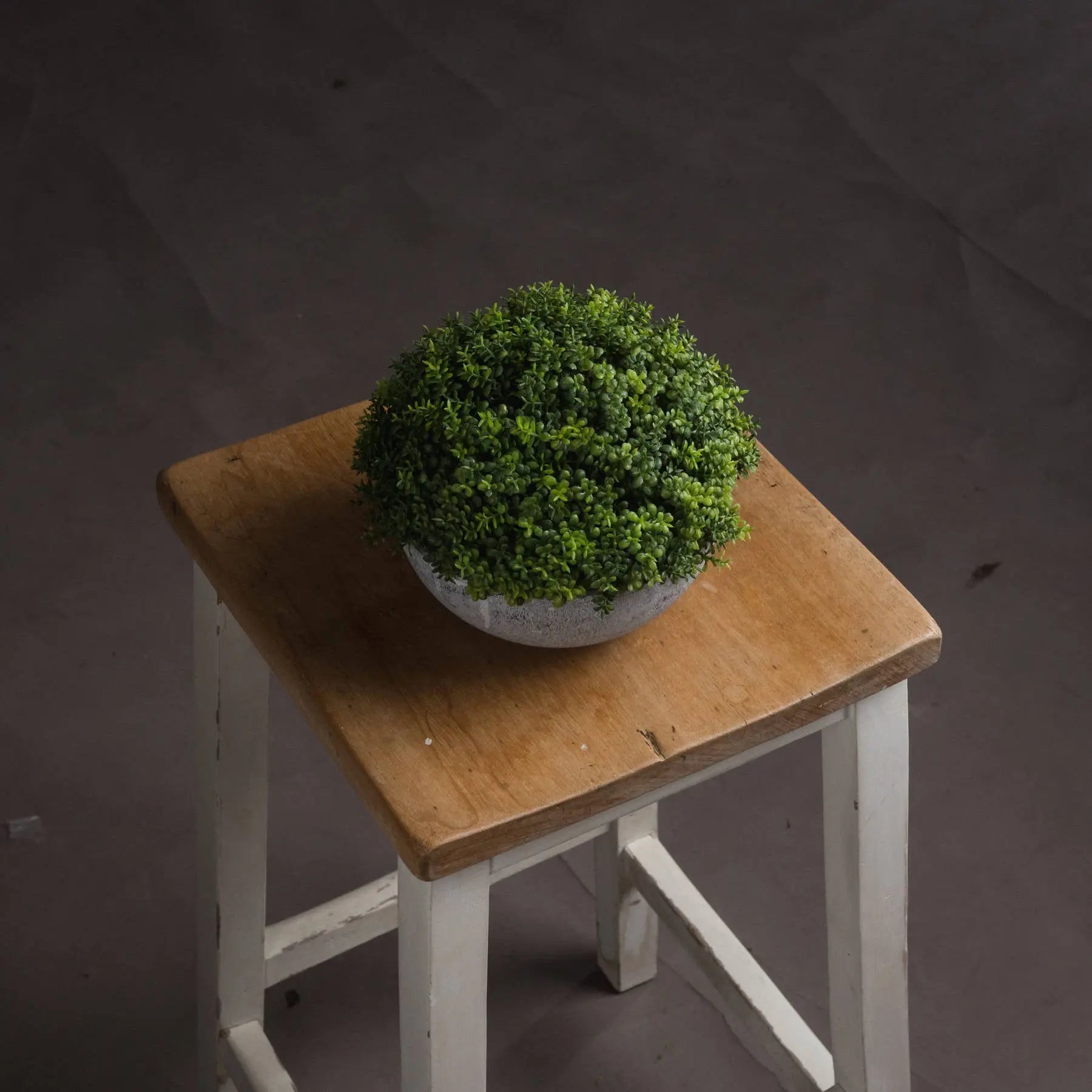Potted plant on a wooden stool against a dark background