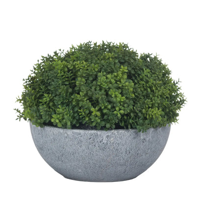 Green bush in a gray stone-like planter on a white background