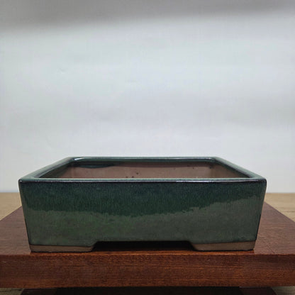 22cm Glazed Bonsai Pot | Rectangle | 22cm x 17cm x 7cm | Dark Green