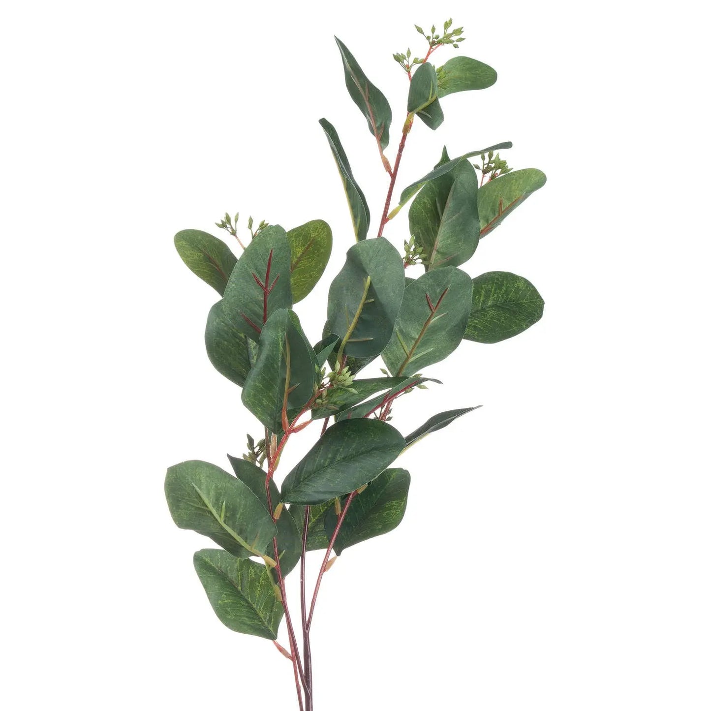 Artificial eucalyptus branch on a white background