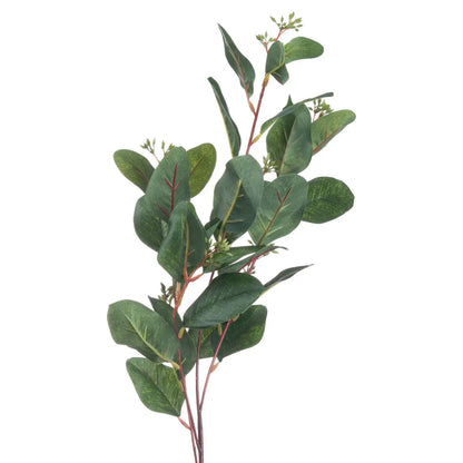 Artificial eucalyptus branch on a white background