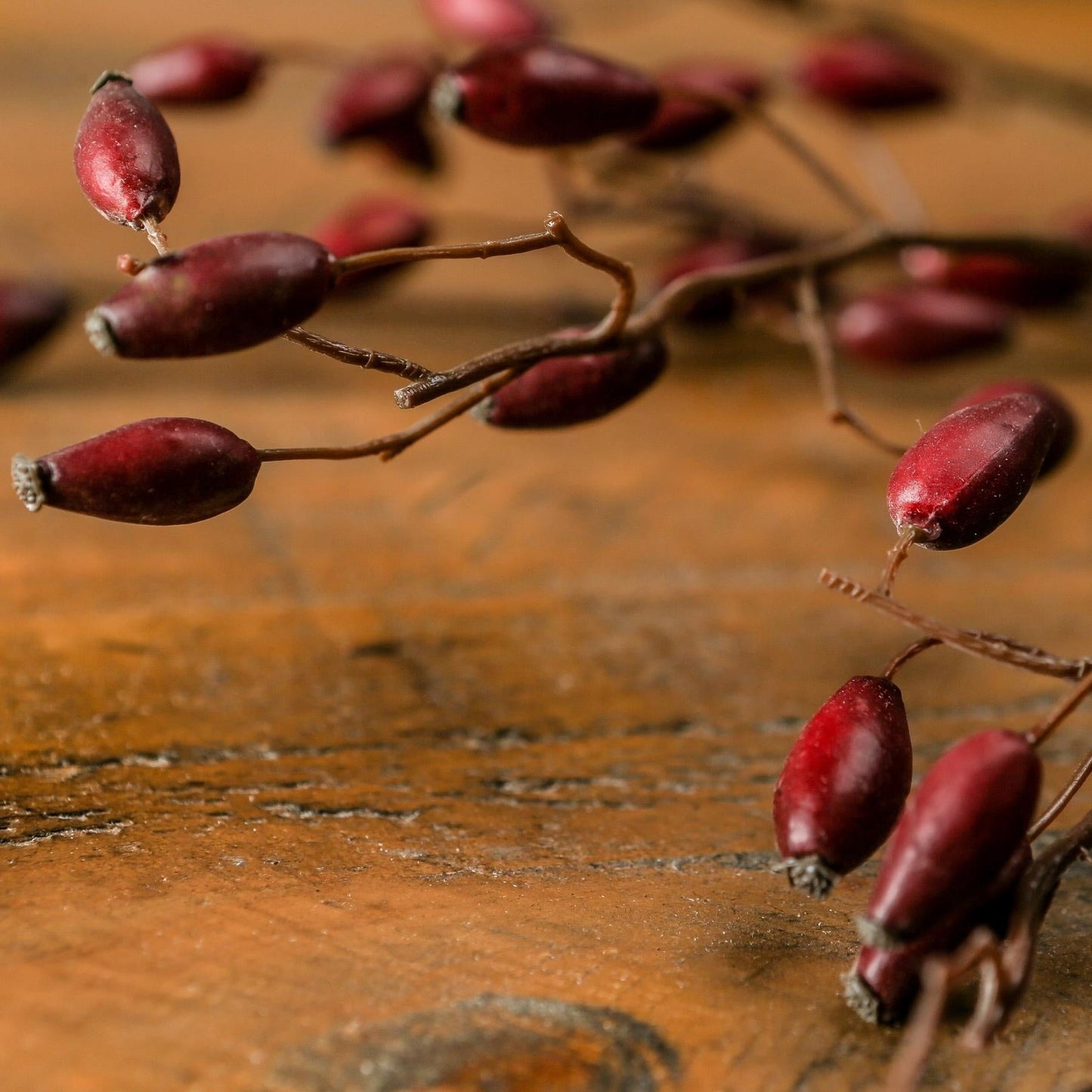 Burgundy Rosehip Stem  Artificial Flowers & Greenery > Christmas Decorations > Festive Flowers & Foliage BlissVeranda