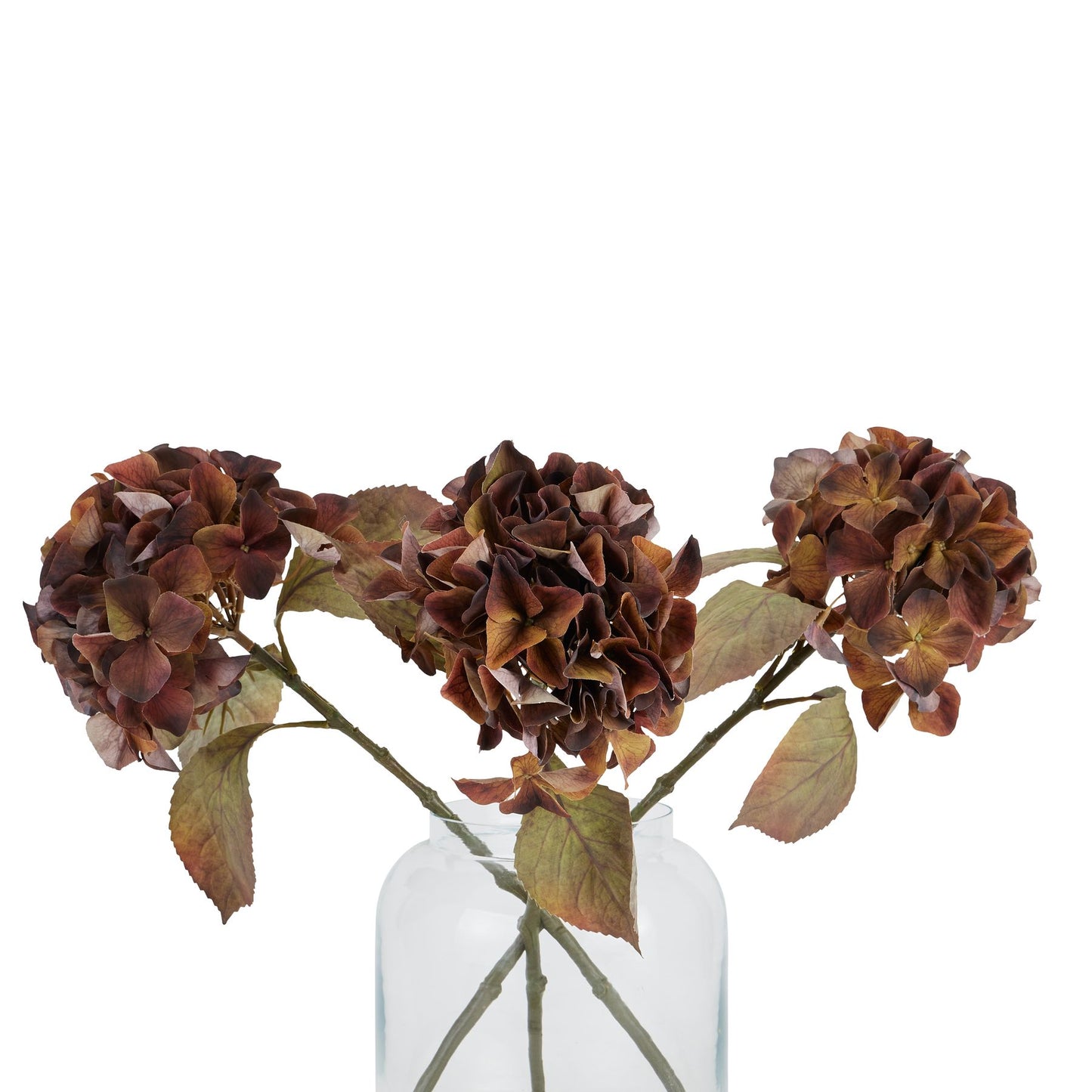 Artificial brown flowers in a clear glass vase on a white background