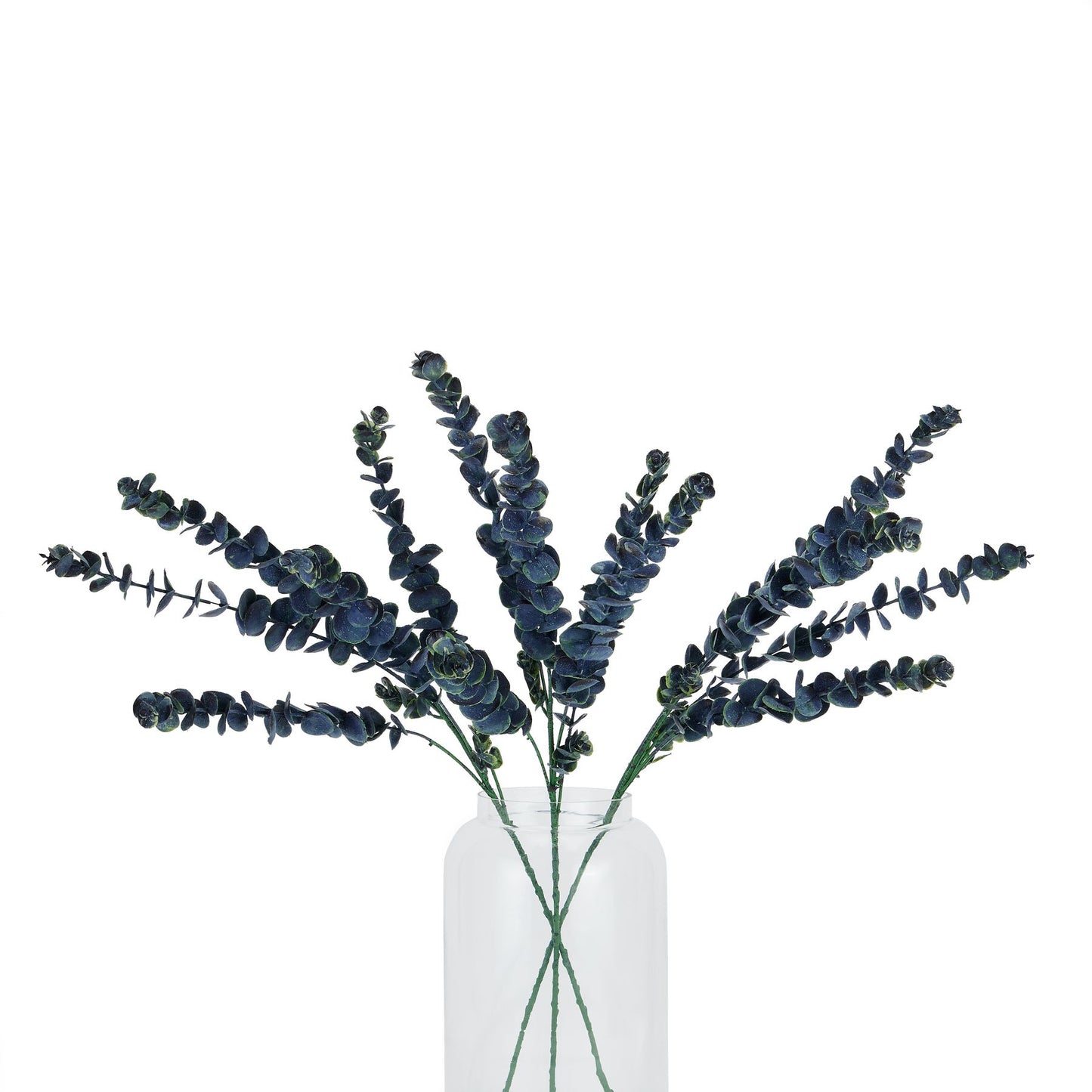 Bouquet of dark green eucalyptus branches in a clear glass vase on a white background