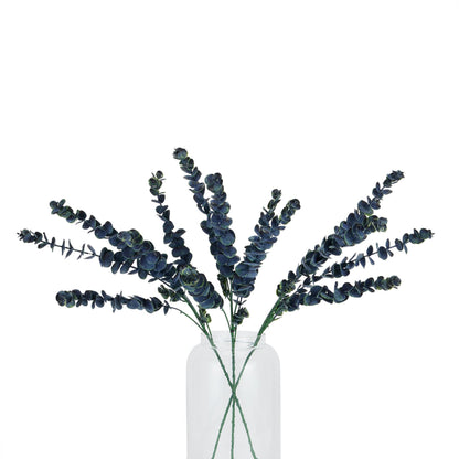 Bouquet of dark green eucalyptus branches in a clear glass vase on a white background
