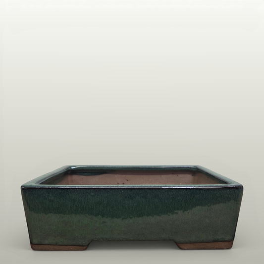 22cm Glazed Bonsai Pot | Rectangle | 22cm x 17cm x 7cm | Dark Green  Bonsai Pot BlissVeranda