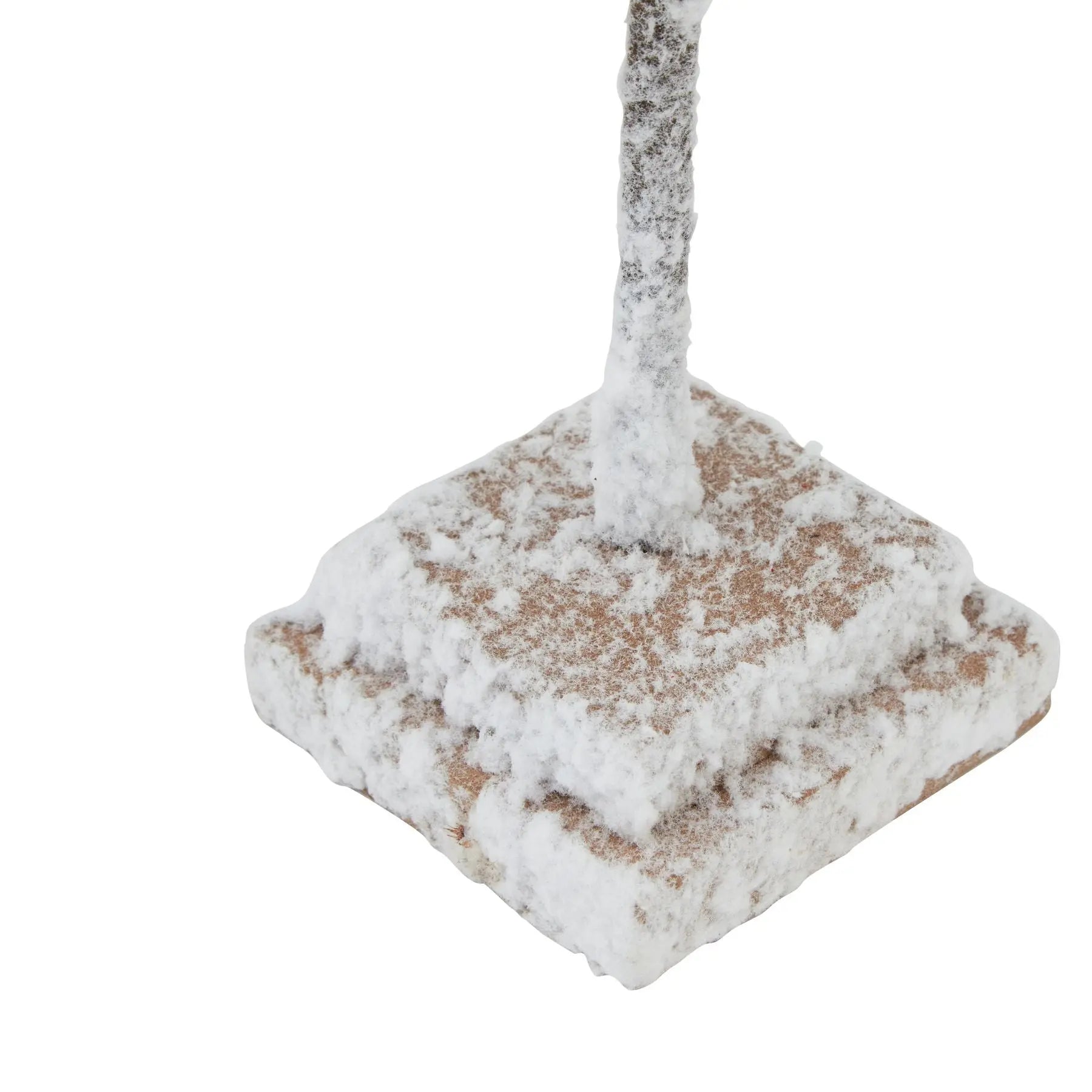 Medium Snowy Cedar Tree On Wood Block BlissVeranda