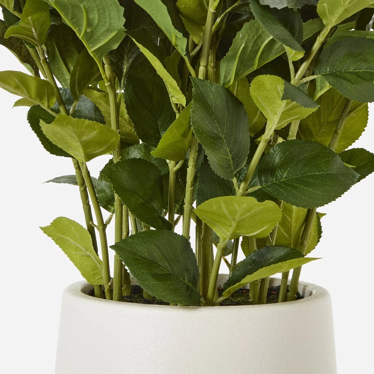 Artificial green plant in a white pot on a white background