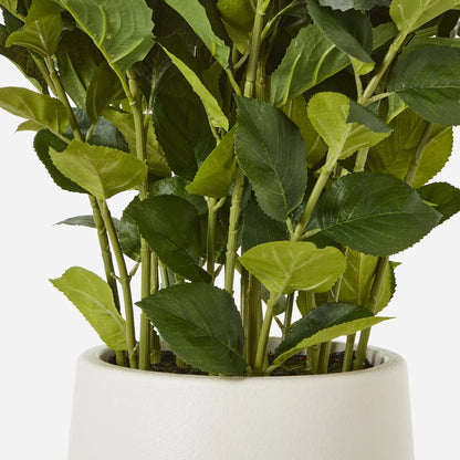 Artificial green plant in a white pot on a white background