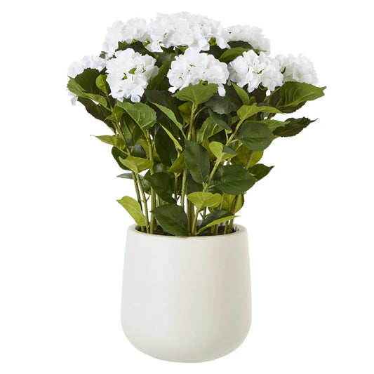 Artificial plant with white flowers in a white pot on a white background