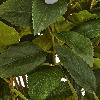 Close-up of green leaves with a blurred background