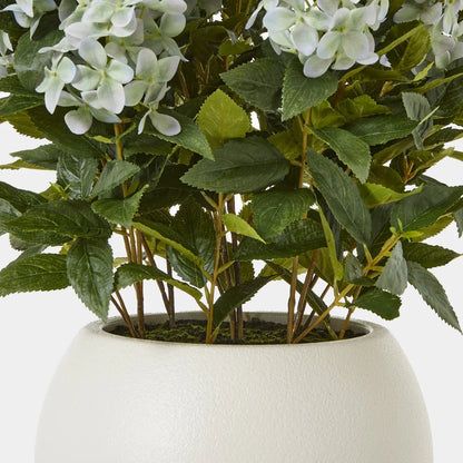 Potted plant with green leaves and white flowers in a white pot on a light background