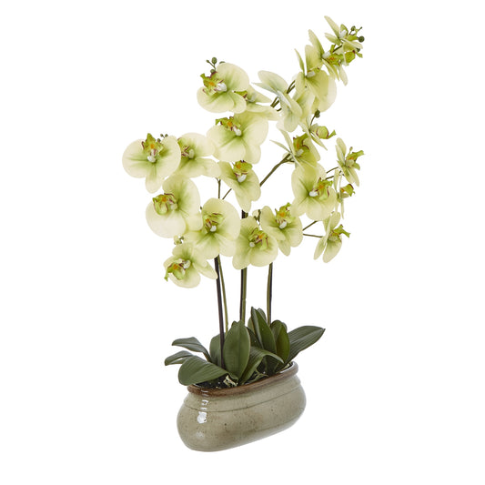 Potted artificial orchid plant on a white background