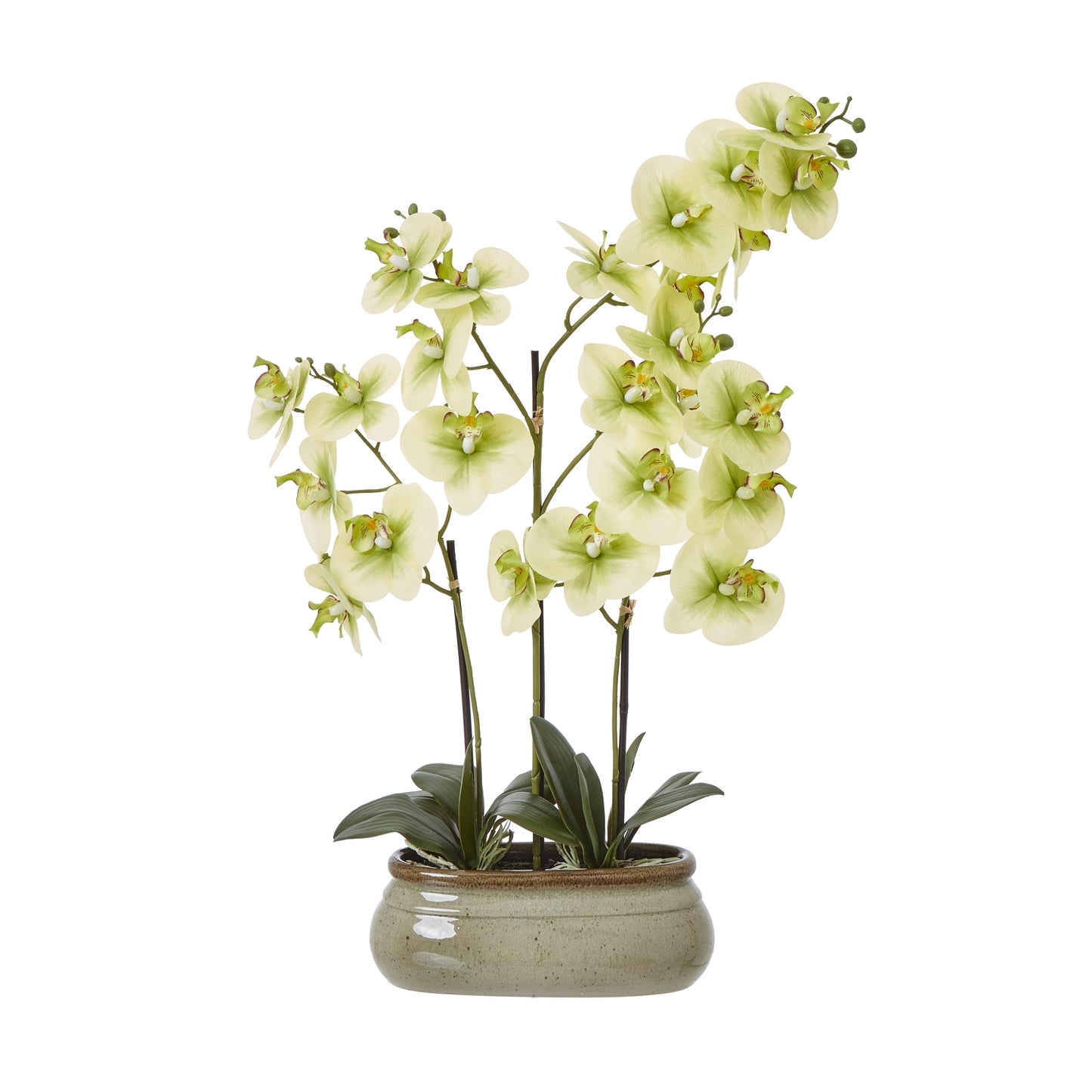 Faux green orchid plant in a ceramic pot on a white background