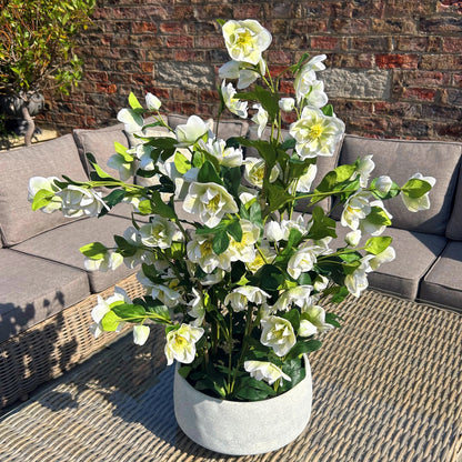 Potted plant with white flowers on a patio table with a couch and brick wall in the background