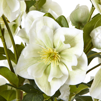 Close-up of a white flower with green leaves on a white background