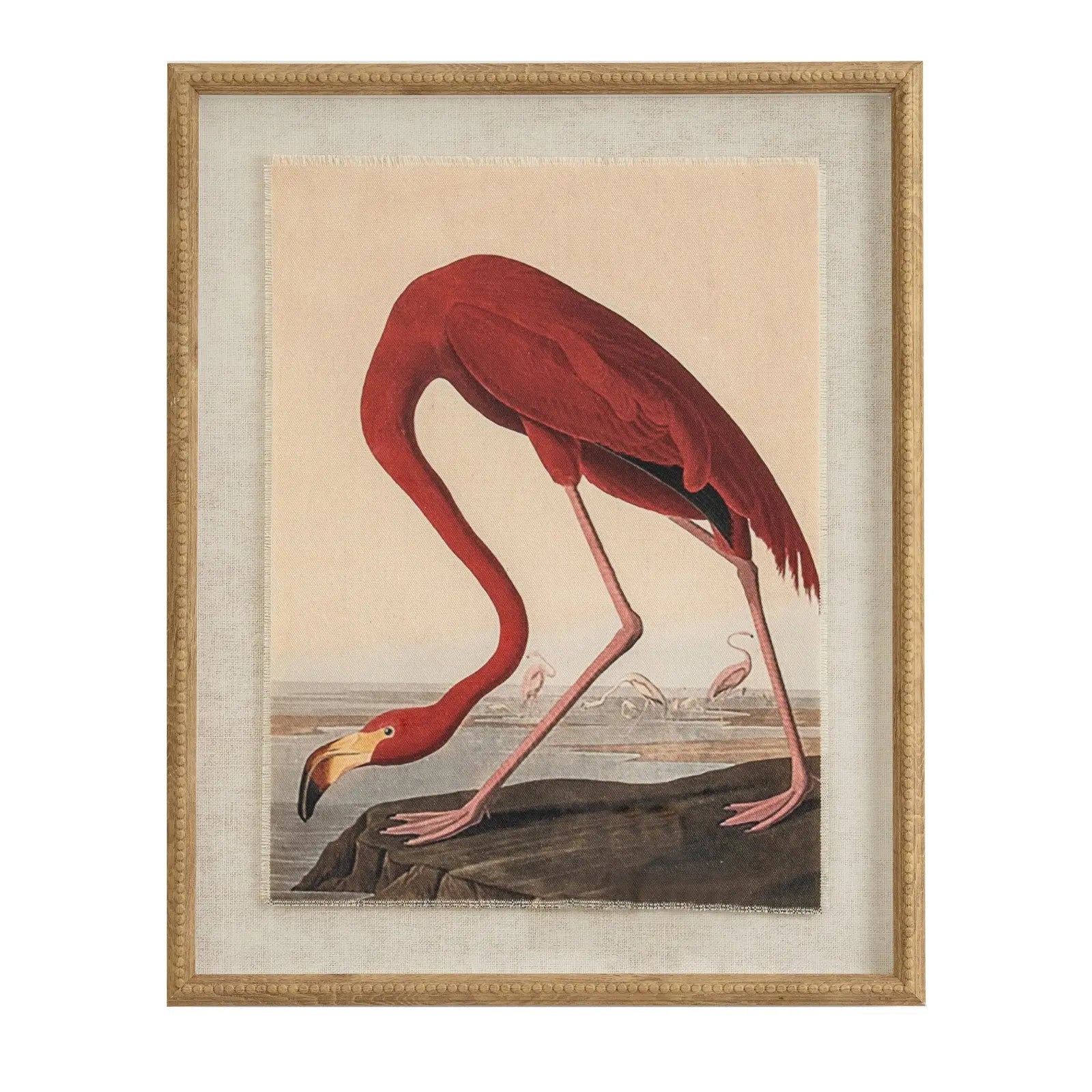 Flora & Fauna Collection Flamingo On Linen In Beaded Frame BlissVeranda