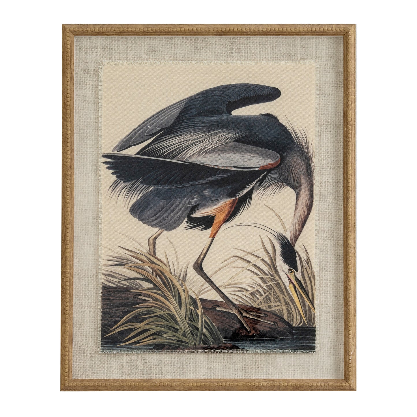 Framed artwork of a bird in natural setting