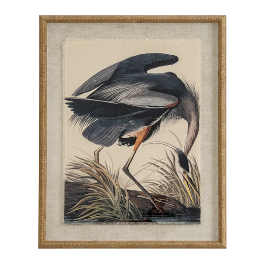 Framed artwork of a bird in natural setting