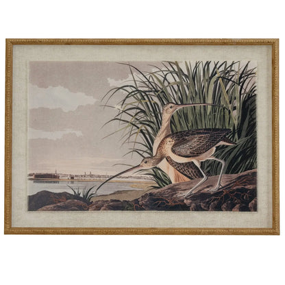 Flora & Fauna Collection Curlews On Linen In Beaded Frame BlissVeranda