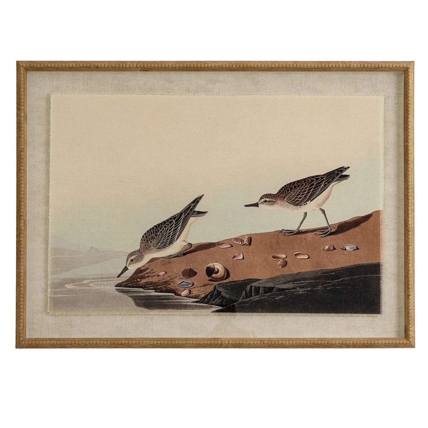 Framed artwork of two birds on a rock with a beige background