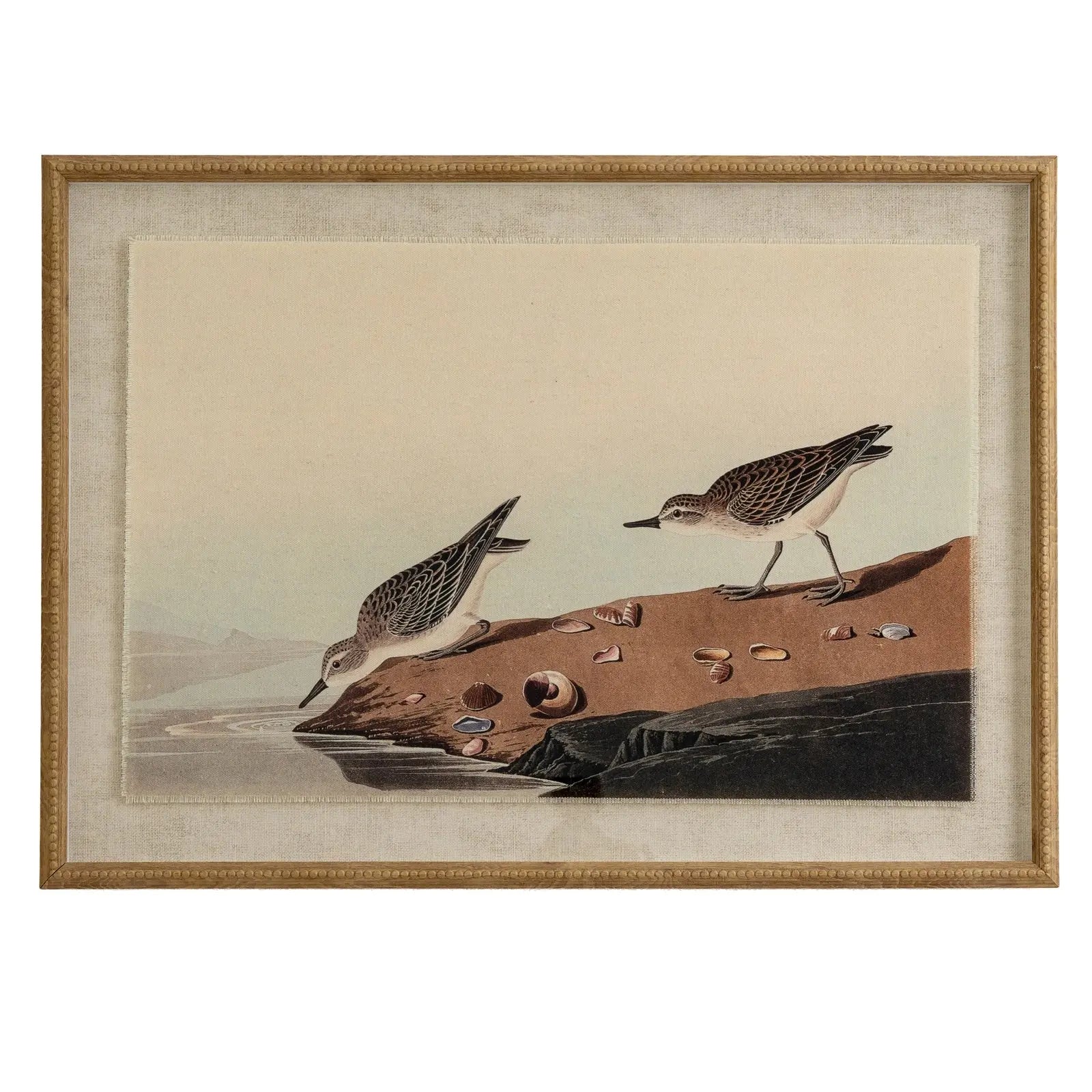 Framed artwork of two birds on a rock with a beige background