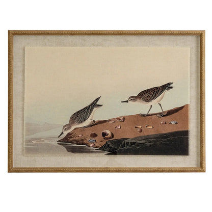 Framed artwork of two birds on a rock with a beige background
