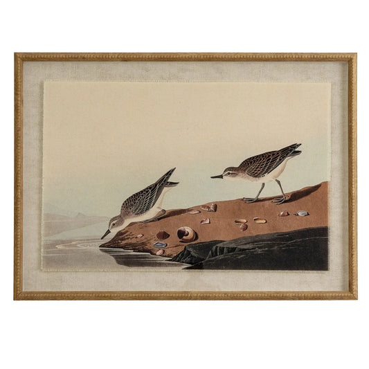 Framed artwork of two birds on a rock with a beige background