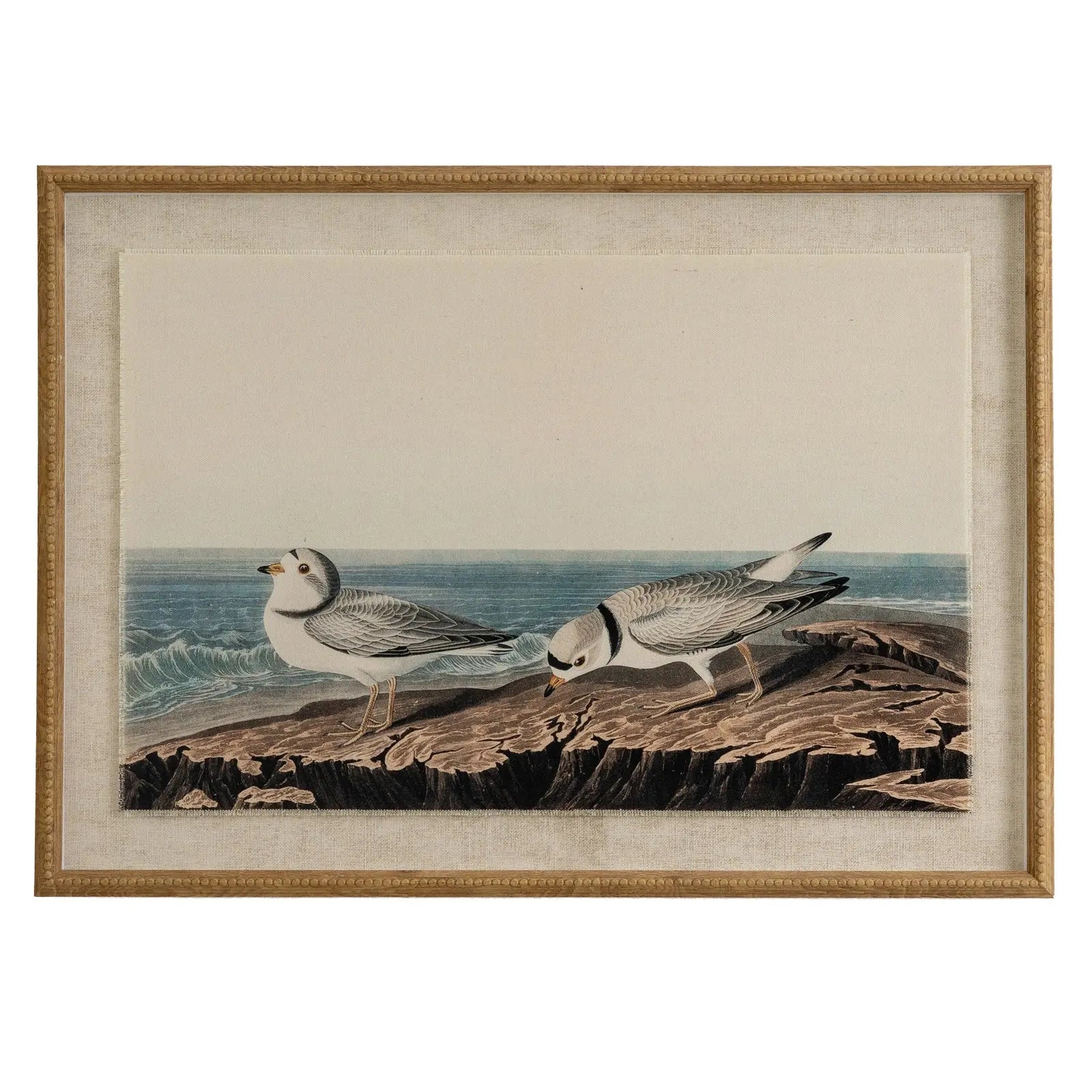 Framed artwork of two birds on a rocky shore with ocean in the background.