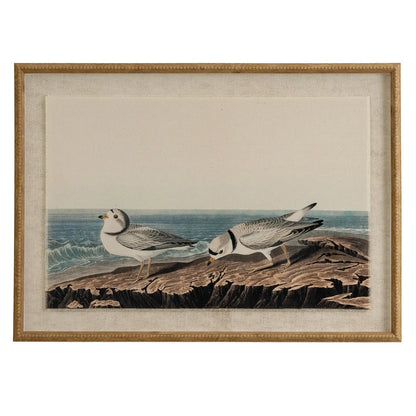 Framed artwork of two birds on a rocky shore with ocean in the background.