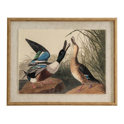 Framed artwork of two ducks on a rock with grass in the background