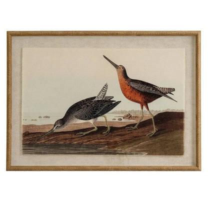 Framed artwork of two birds on a landscape background