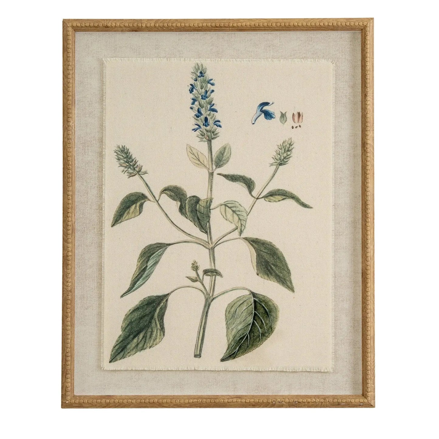 Framed botanical illustration of a plant with blue flowers on a beige background