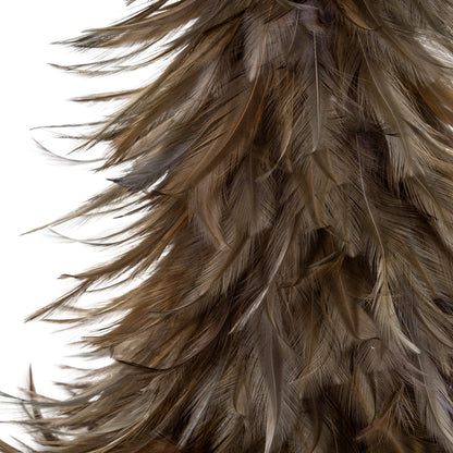 Close-up of brown feathers on a white background