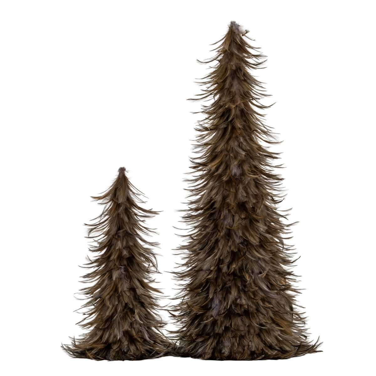 Two brown feather trees on a white background