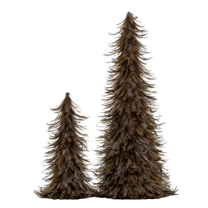 Two brown feather trees on a white background