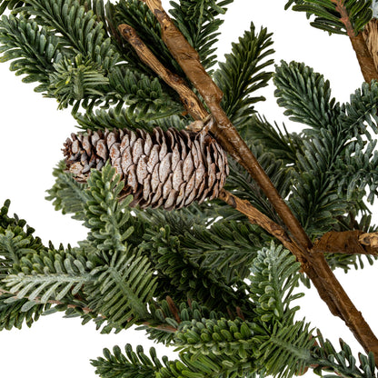 Close-up of a pine branch with cones on a white background