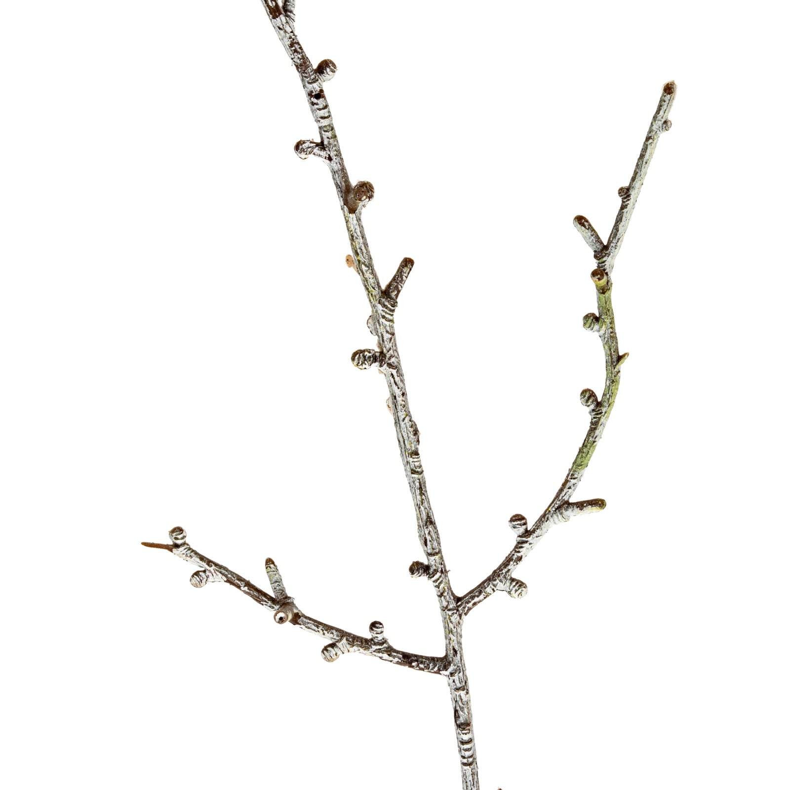 Decorative branch with small berries on a white background