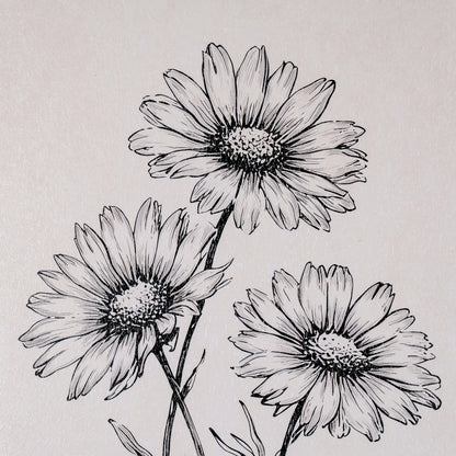 Black ink line art illustration of three daisy-like flowers on a light beige textured background.