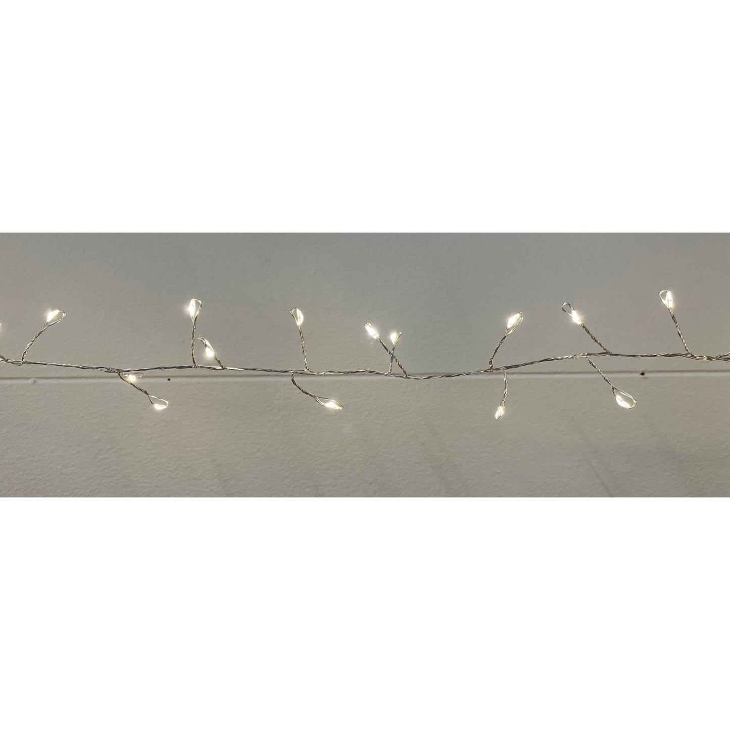 String of small lights on a branch against a plain background